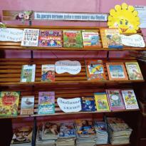 Библиотека д.Челмужи